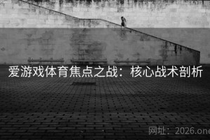 爱游戏体育焦点之战：核心战术剖析