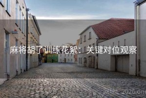 麻将胡了训练花絮：关键对位观察