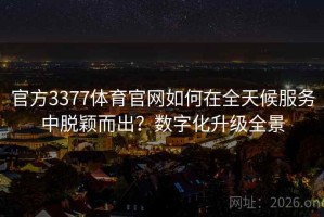 官方3377体育官网如何在全天候服务中脱颖而出？数字化升级全景