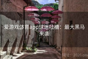 爱游戏体育app球迷吐槽：最大黑马来袭