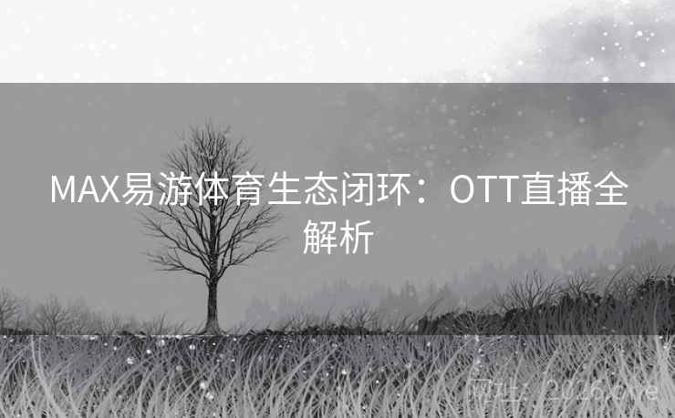 MAX易游体育生态闭环:OTT直播全解析 MAX易游体育生态闭环:OTT直播全解析