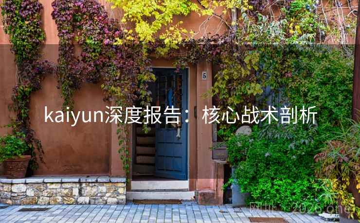 kaiyun深度报告：核心战术剖析